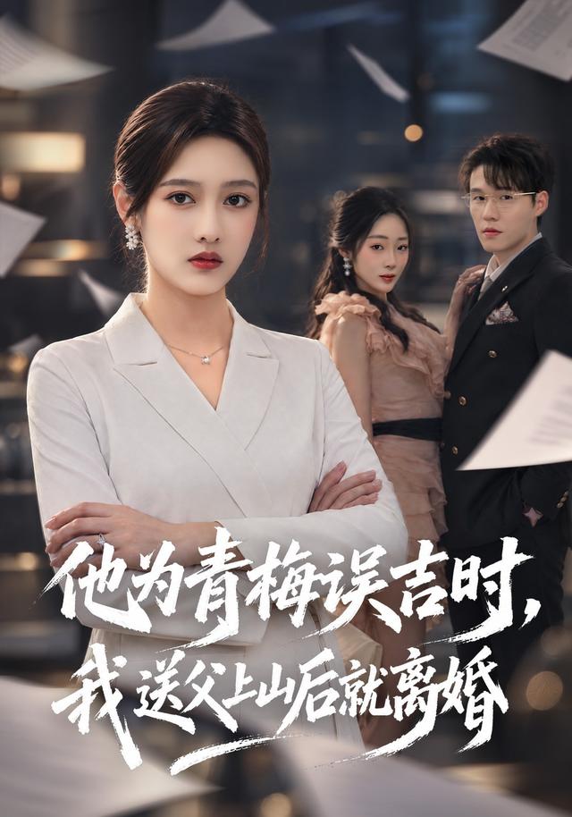 他为青梅误吉时，我送父上山后就离婚海报