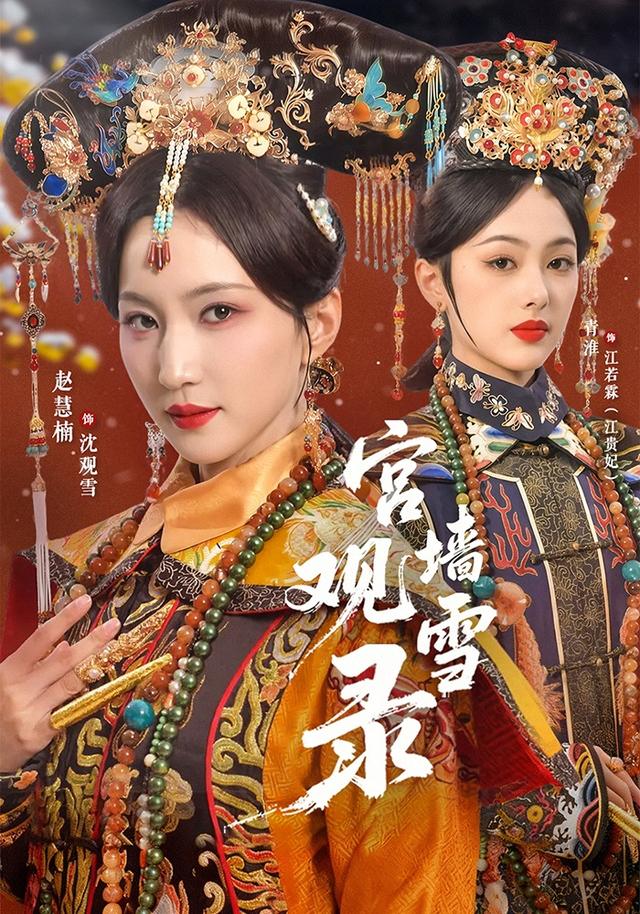 宫墙观雪录海报